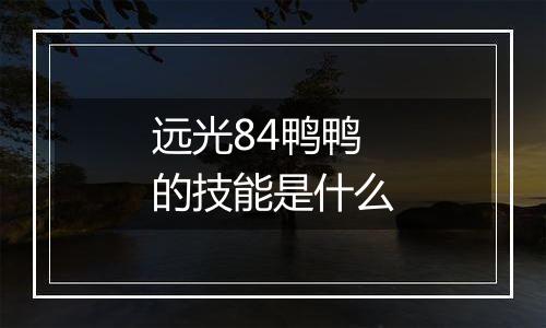 远光84鸭鸭的技能是什么