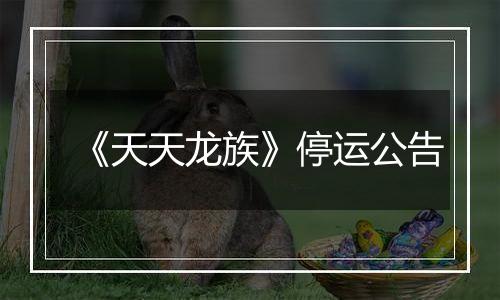 《天天龙族》停运公告
