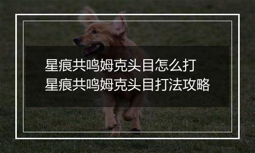 星痕共鸣姆克头目怎么打 星痕共鸣姆克头目打法攻略
