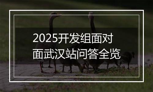 2025开发组面对面武汉站问答全览