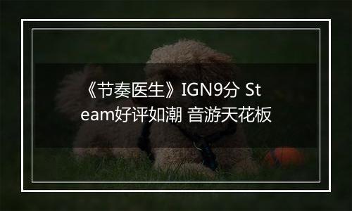 《节奏医生》IGN9分 Steam好评如潮 音游天花板