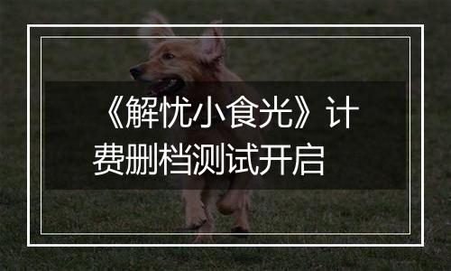 《解忧小食光》计费删档测试开启