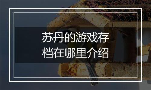 苏丹的游戏存档在哪里介绍