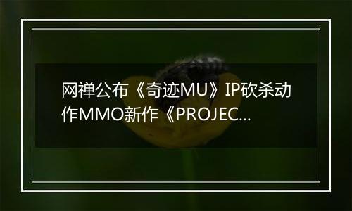 网禅公布《奇迹MU》IP砍杀动作MMO新作《PROJECT G》CG预告