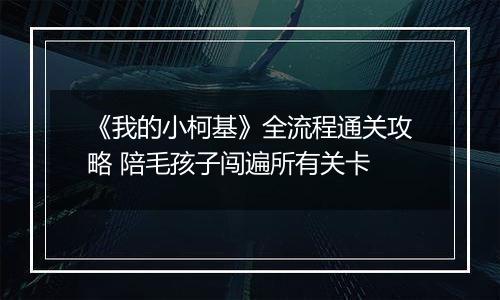 《我的小柯基》全流程通关攻略 陪毛孩子闯遍所有关卡