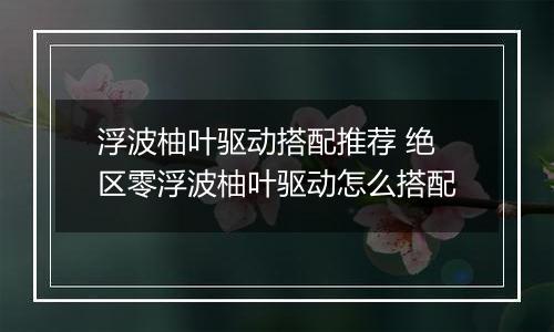 浮波柚叶驱动搭配推荐 绝区零浮波柚叶驱动怎么搭配