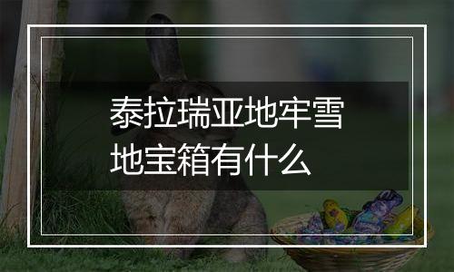 泰拉瑞亚地牢雪地宝箱有什么