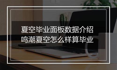 夏空毕业面板数据介绍 鸣潮夏空怎么样算毕业