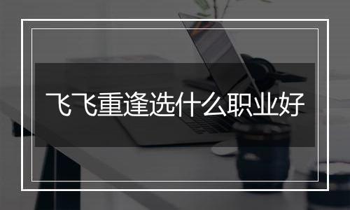 飞飞重逢选什么职业好