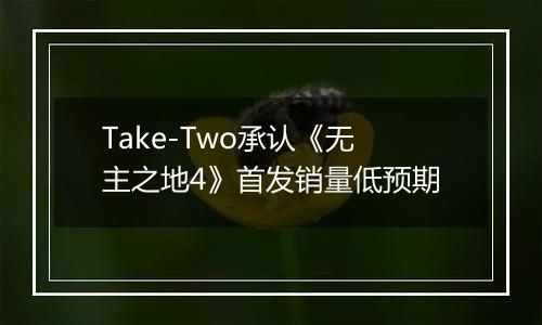 Take-Two承认《无主之地4》首发销量低预期