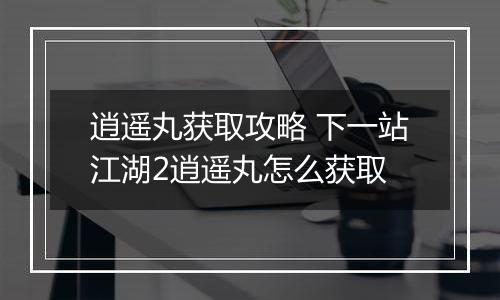 逍遥丸获取攻略 下一站江湖2逍遥丸怎么获取
