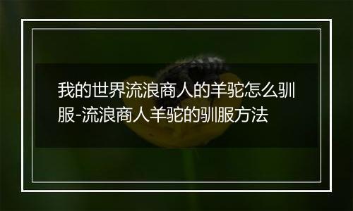 我的世界流浪商人的羊驼怎么驯服-流浪商人羊驼的驯服方法