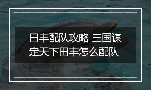 田丰配队攻略 三国谋定天下田丰怎么配队