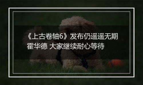 《上古卷轴6》发布仍遥遥无期 霍华德 大家继续耐心等待