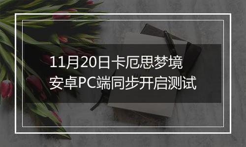 11月20日卡厄思梦境安卓PC端同步开启测试