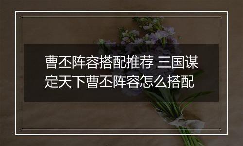 曹丕阵容搭配推荐 三国谋定天下曹丕阵容怎么搭配