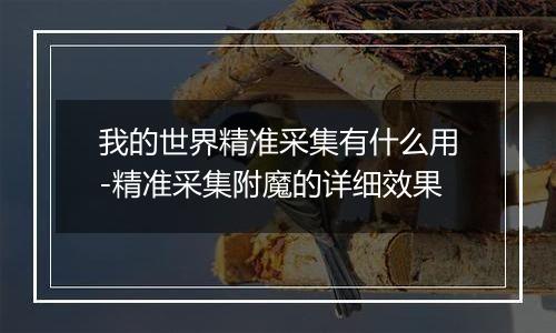 我的世界精准采集有什么用-精准采集附魔的详细效果