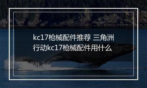 kc17枪械配件推荐 三角洲行动kc17枪械配件用什么