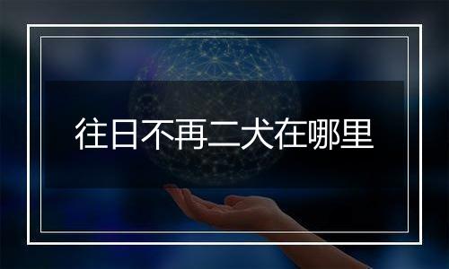 往日不再二犬在哪里