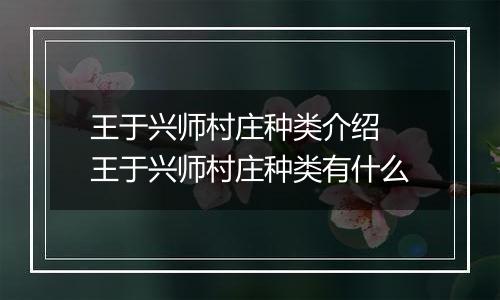 王于兴师村庄种类介绍 王于兴师村庄种类有什么