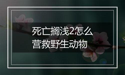 死亡搁浅2怎么营救野生动物