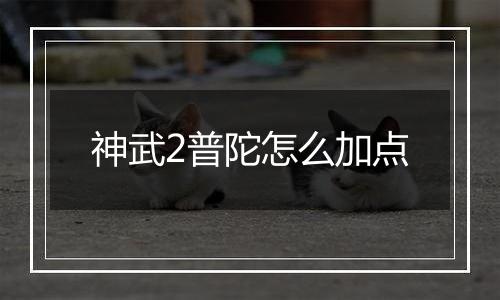 神武2普陀怎么加点