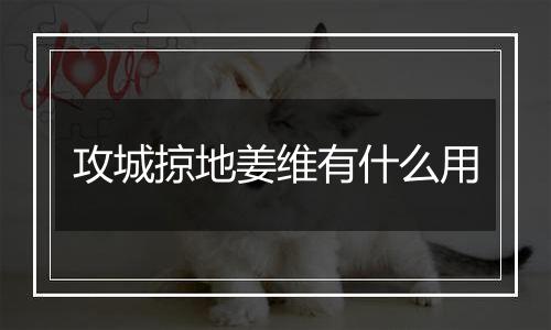 攻城掠地姜维有什么用