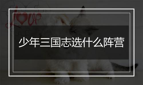 少年三国志选什么阵营