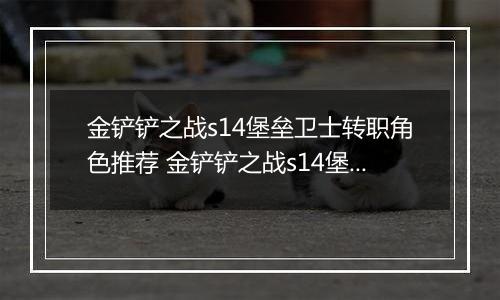 金铲铲之战s14堡垒卫士转职角色推荐 金铲铲之战s14堡垒卫士转职角色怎么选