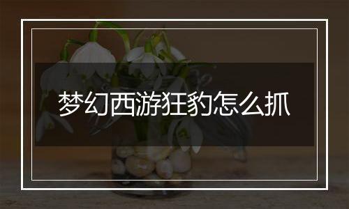 梦幻西游狂豹怎么抓