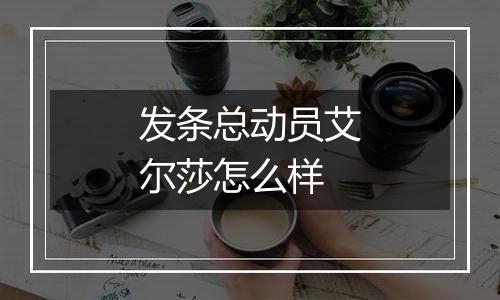 发条总动员艾尔莎怎么样